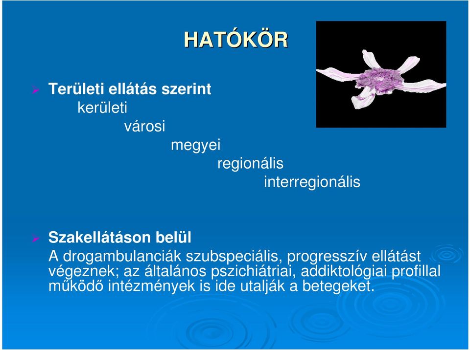 szubspeciális, progresszív ellátást végeznek; az általános