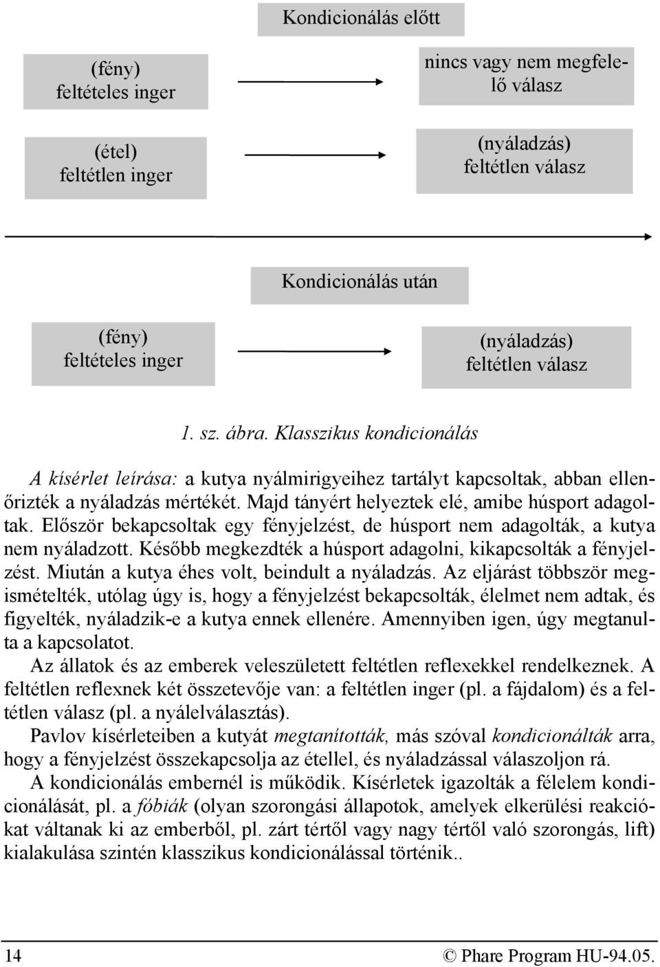 Először bekapcsoltak egy fényjelzést, de húsport nem adagolták, a kutya nem nyáladzott. Később megkezdték a húsport adagolni, kikapcsolták a fényjelzést.