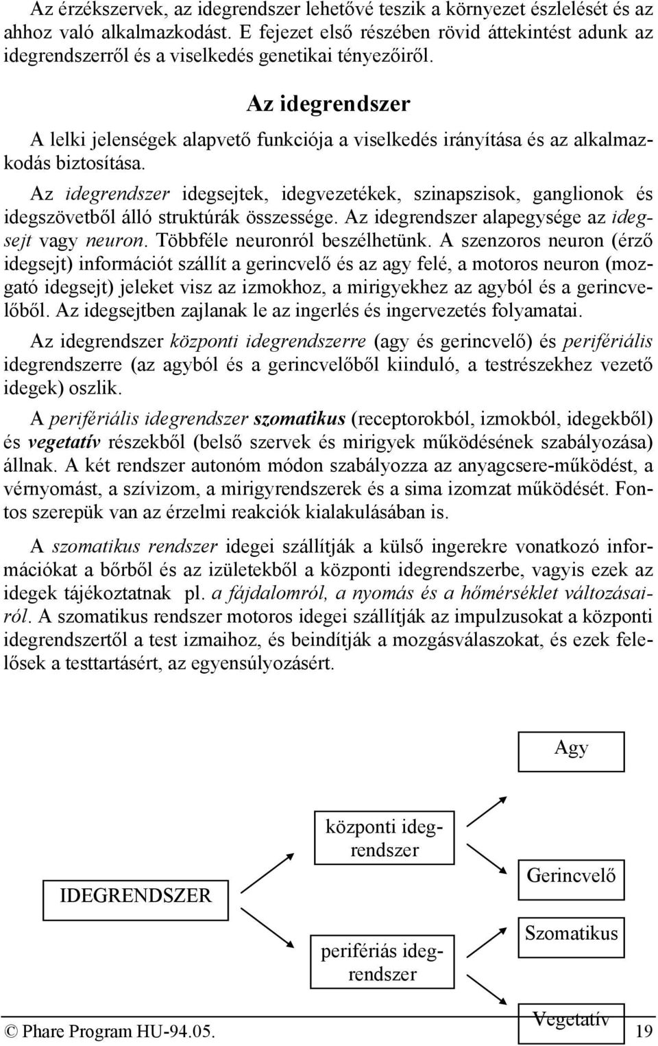 Az idegrendszer A lelki jelenségek alapvető funkciója a viselkedés irányítása és az alkalmazkodás biztosítása.