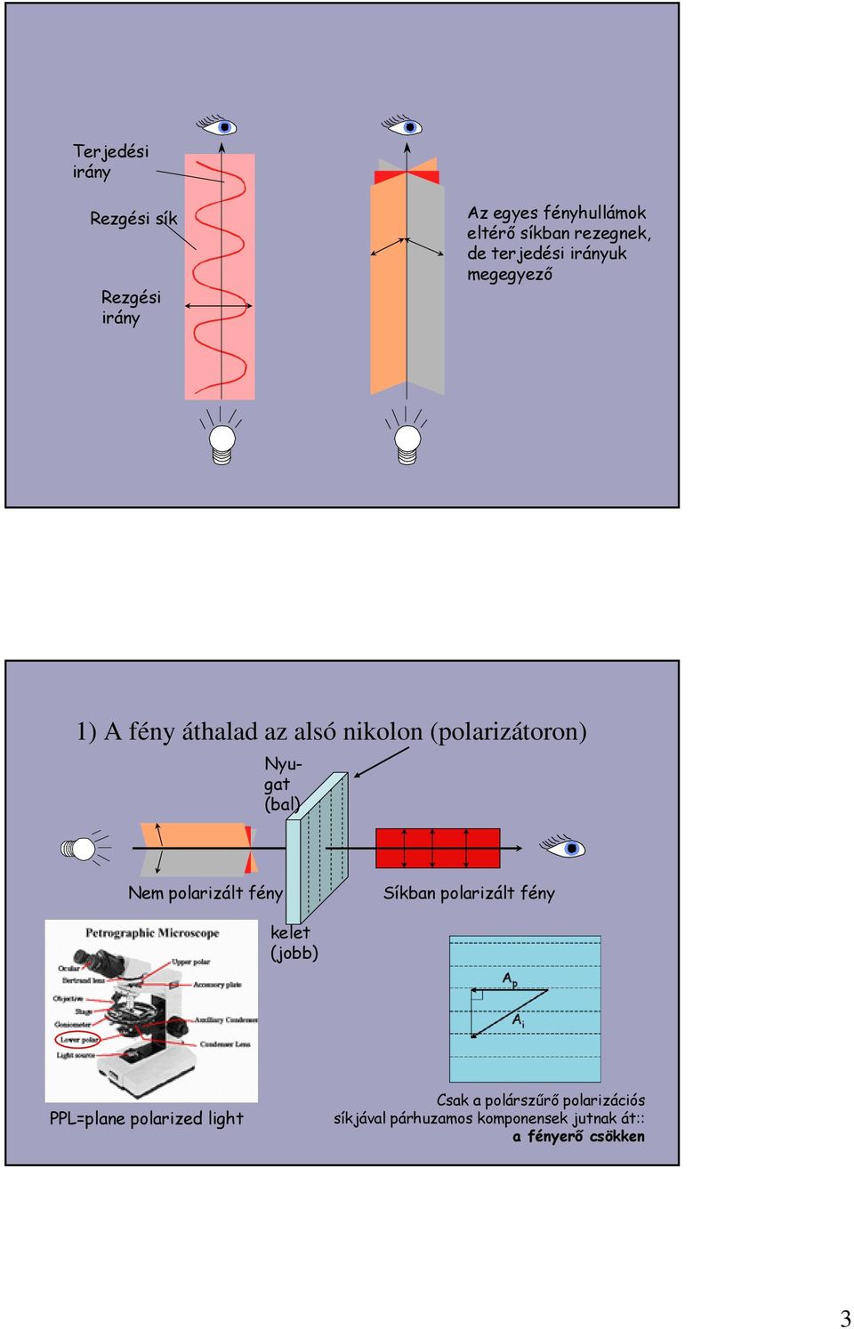 (bal) Nem polarizált fény Síkban polarizált fény kelet (jobb) PPL=plane polarized light