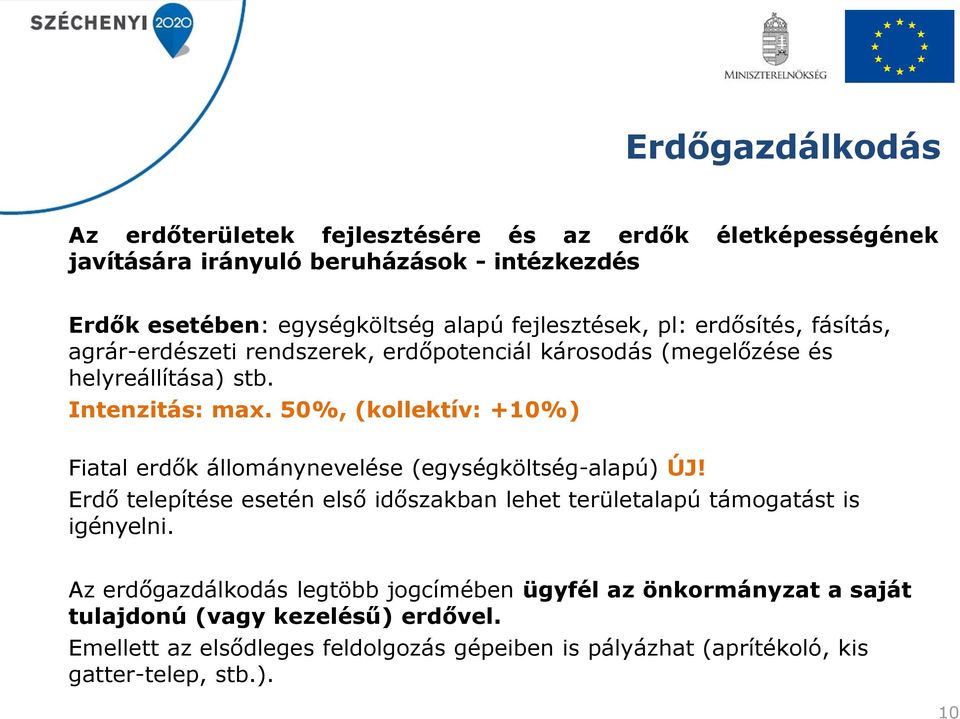 50%, (kollektív: +10%) Fiatal erdők állománynevelése (egységköltség-alapú) ÚJ! Erdő telepítése esetén első időszakban lehet területalapú támogatást is igényelni.