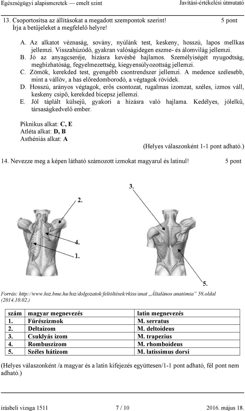 Személyiségét nyugodtság, megbízhatóság, fegyelmezettség, kiegyensúlyozottság jellemzi. C. Zömök, kerekded test, gyengébb csontrendszer jellemzi.