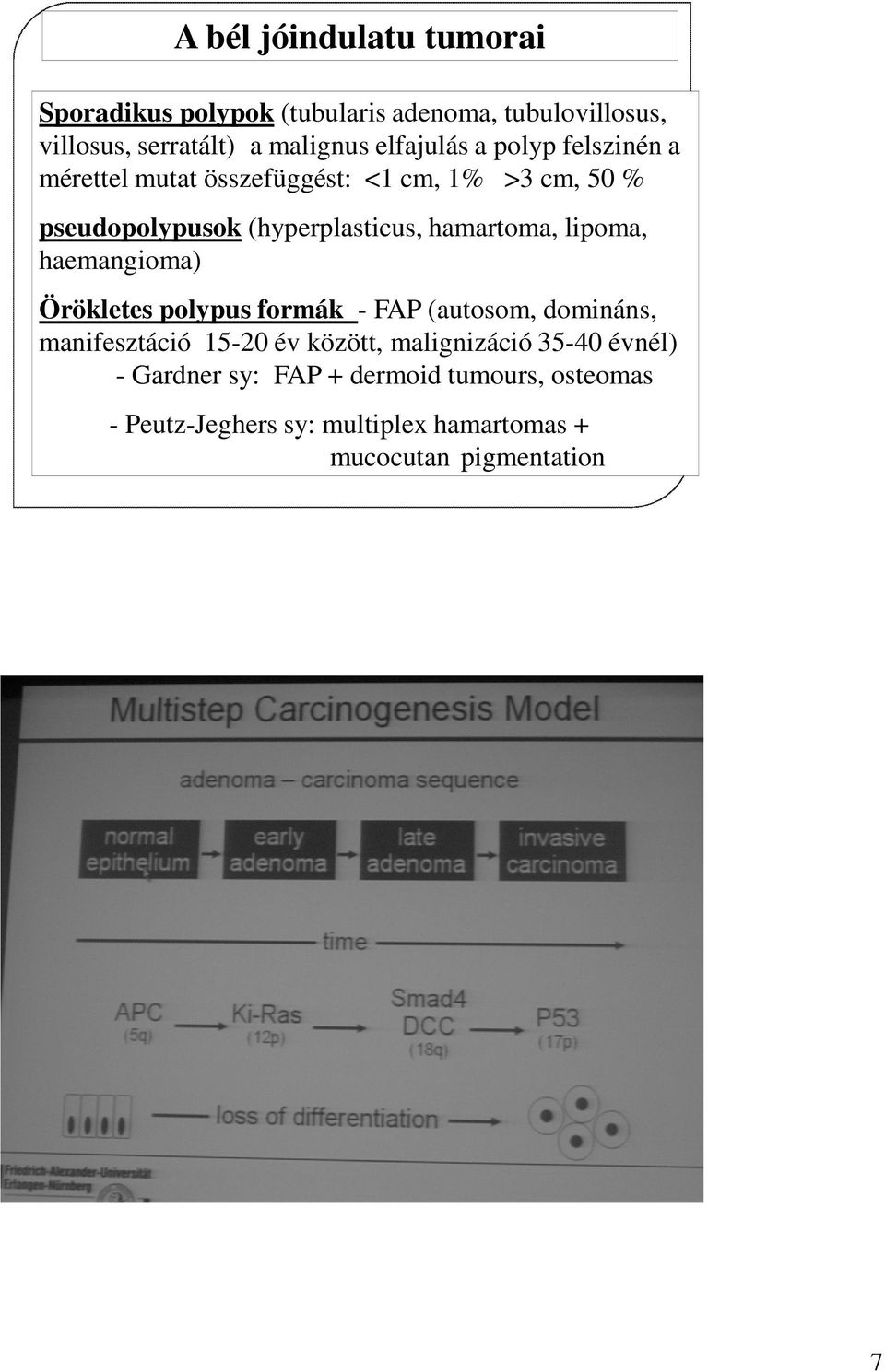 hamartoma, lipoma, haemangioma) Örökletes polypus formák - FAP (autosom, domináns, manifesztáció 15-20 év között,