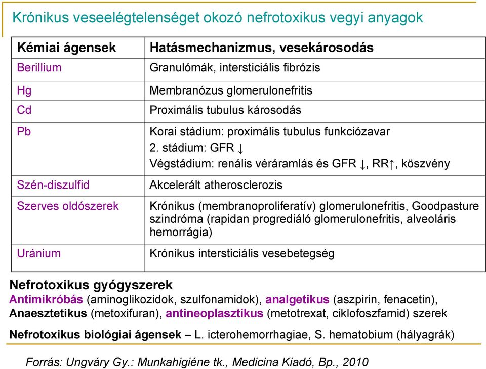 stádium: GFR Végstádium: renális véráramlás és GFR, RR, köszvény Akcelerált atherosclerozis Krónikus (membranoproliferatív) glomerulonefritis, Goodpasture szindróma (rapidan progrediáló