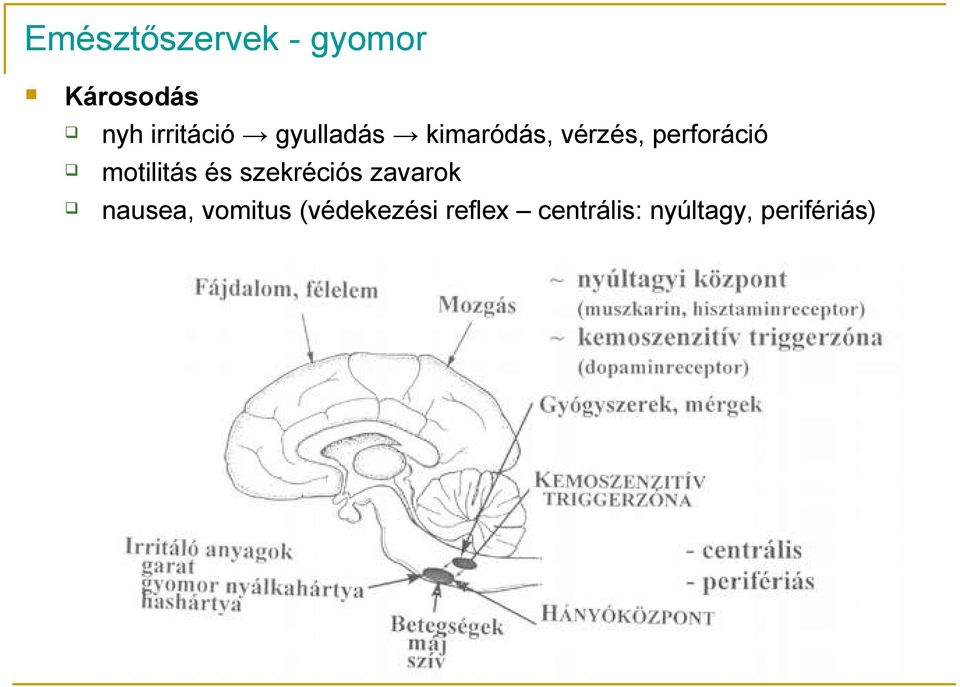 perforáció motilitás és szekréciós zavarok