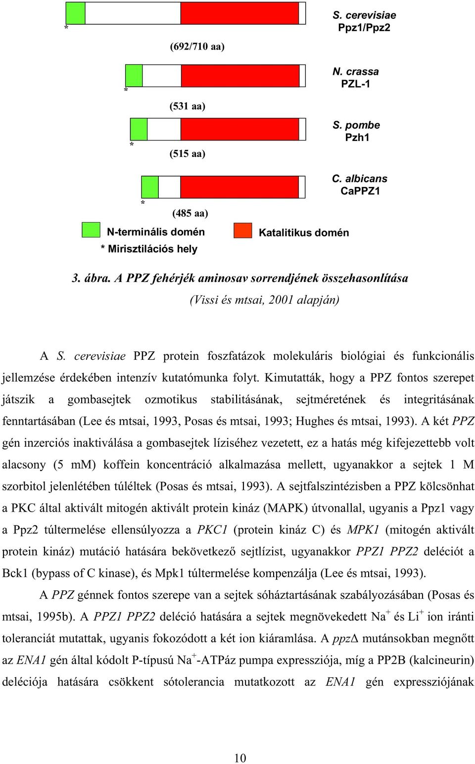 cerevisiae PPZ protein foszfatázok molekuláris biológiai és funkcionális jellemzése érdekében intenzív kutatómunka folyt.