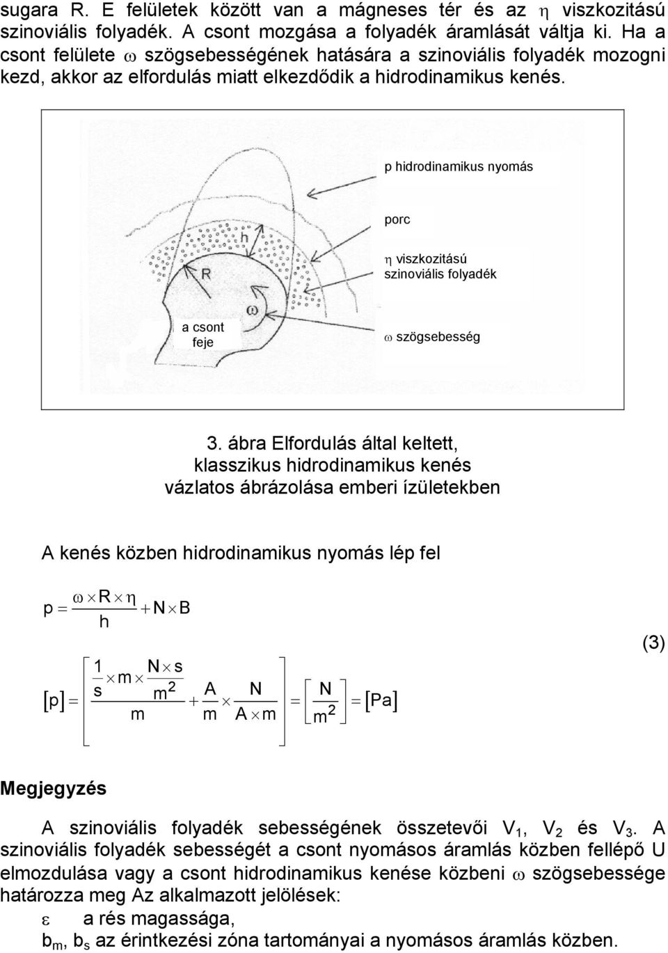 p hidrodinamikus nyomás porc η viszkozitású szinoviális folyadék a csont feje ω szögsebesség 3.