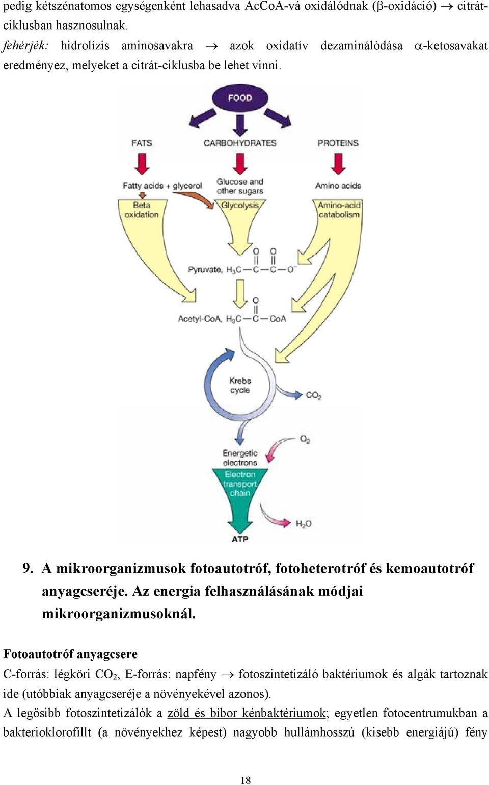 A mikroorganizmusok fotoautotróf, fotoheterotróf és kemoautotróf anyagcseréje. Az energia felhasználásának módjai mikroorganizmusoknál.