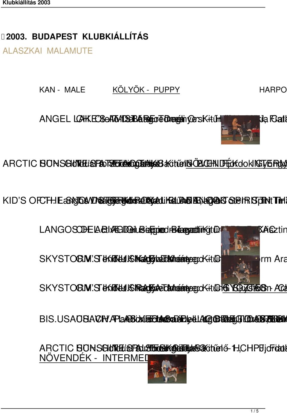 THE Langos SNOW-STORM T-t.: Del Nagy Biagio Eredménye: Krisztián ROYAL Nadine Kitűnő BLADE Del NANOOK 1, Biagio CACTotem SPIRIT Spirit T.: IN Tina THE In T LANGOS CH. DEL Active BIAGIO T.