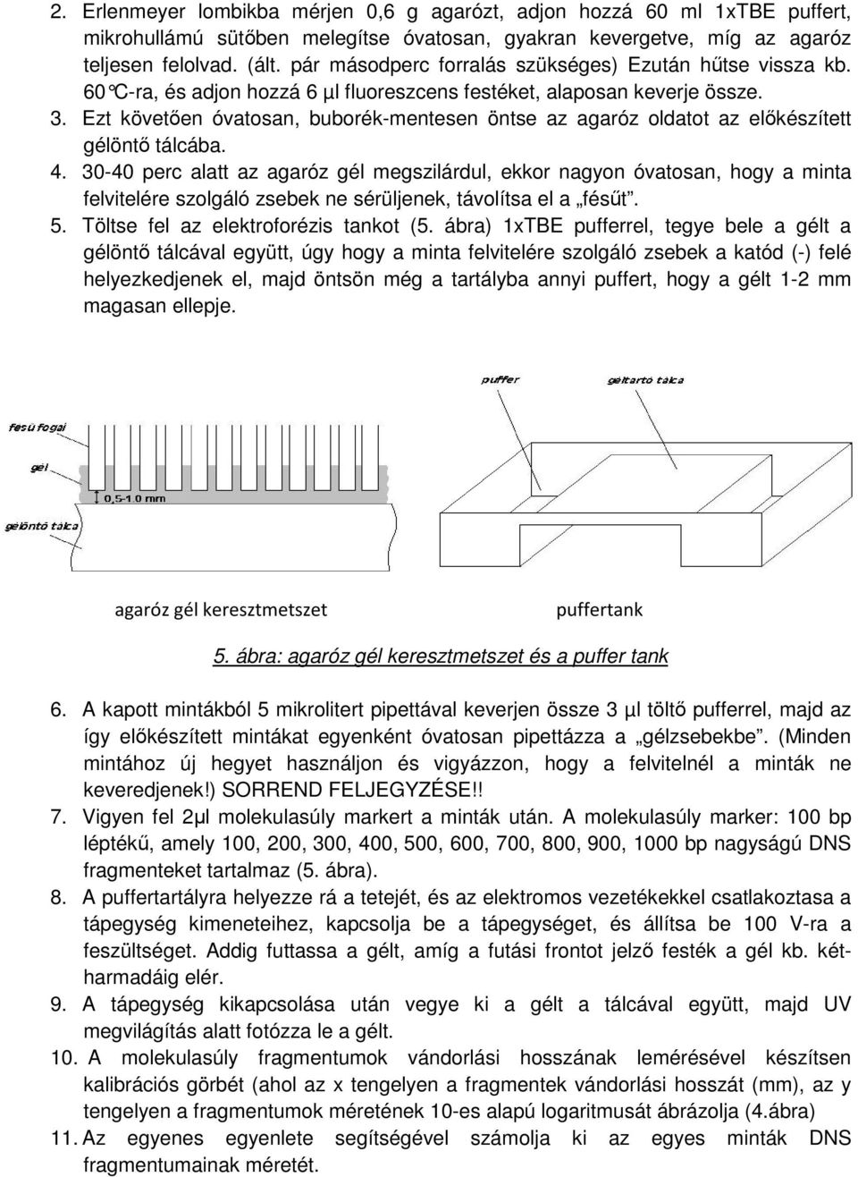 DNS molekulák elválasztása agaróz gélelektroforézissel és kapilláris  elektroforézissel - PDF Free Download