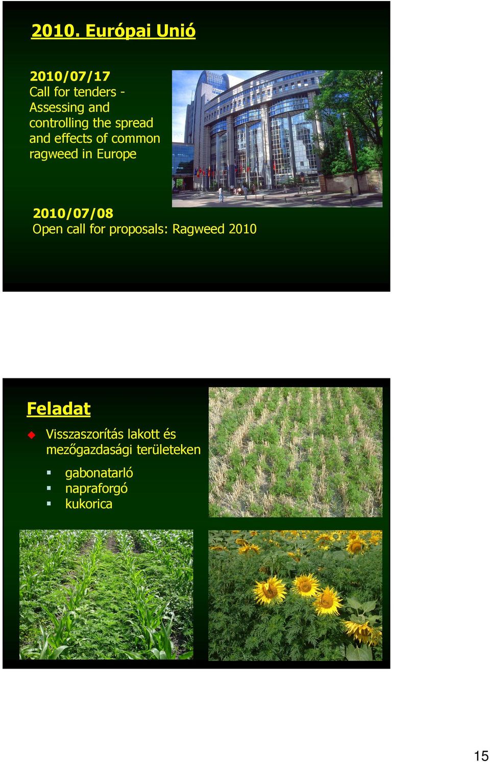 2010/07/08 pen call for proposals: Ragweed 2010 Feladat