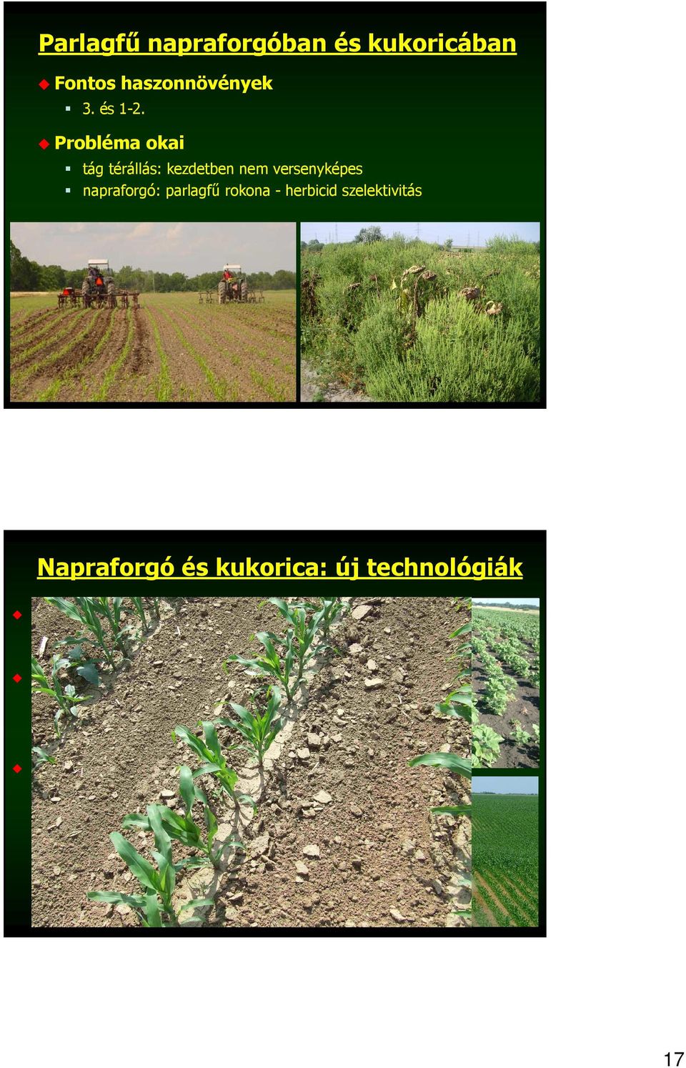 technológiák ALS-herbicid-ellenálló fajták (nem GM) előny: nagy hatékonyság probléma: herbicid túlhasználat Precíziós mezőgazdaság (vetés,