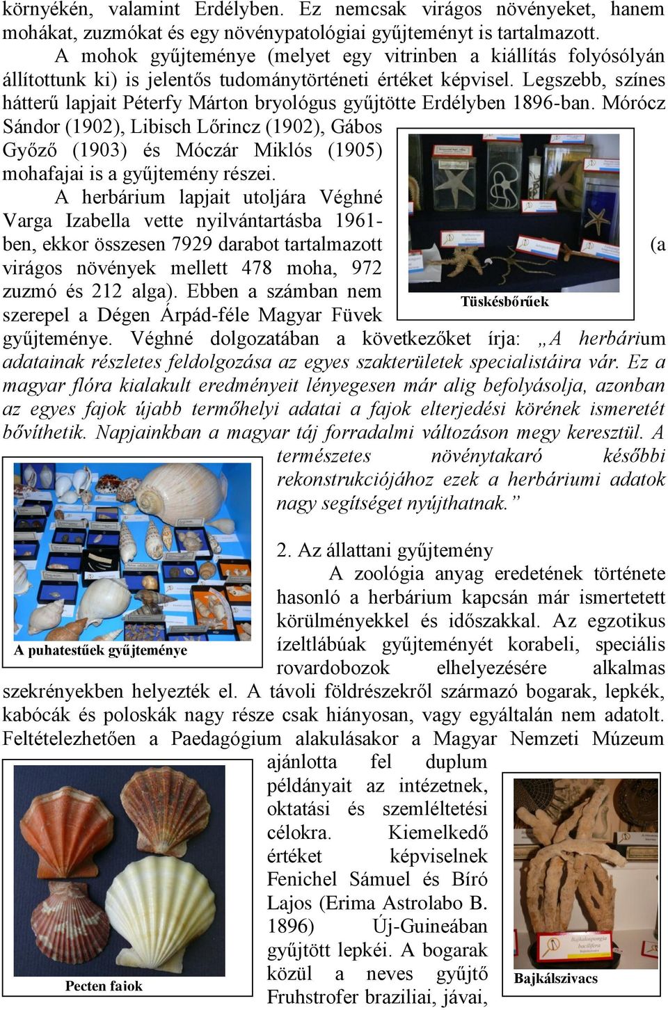 Legszebb, színes hátterű lapjait Péterfy Márton bryológus gyűjtötte Erdélyben 1896-ban.