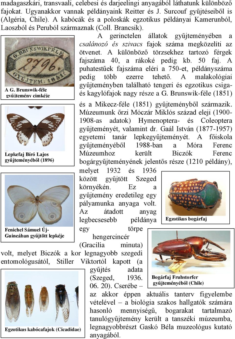 A különböző törzsekhez tartozó férgek fajszáma 40, a rákoké pedig kb. 50 faj. A puhatestűek fajszáma eléri a 750-et, példányszáma pedig több ezerre tehető. A malakológiai A G.