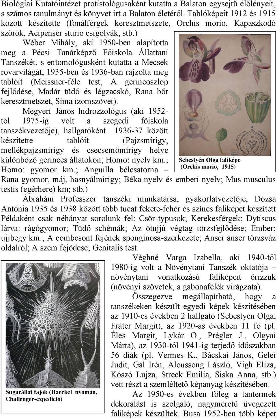 ) Wéber Mihály, aki 1950-ben alapította meg a Pécsi Tanárképző Főiskola Állattani Tanszékét, s entomológusként kutatta a Mecsek rovarvilágát, 1935-ben és 1936-ban rajzolta meg tablóit (Meissner-féle