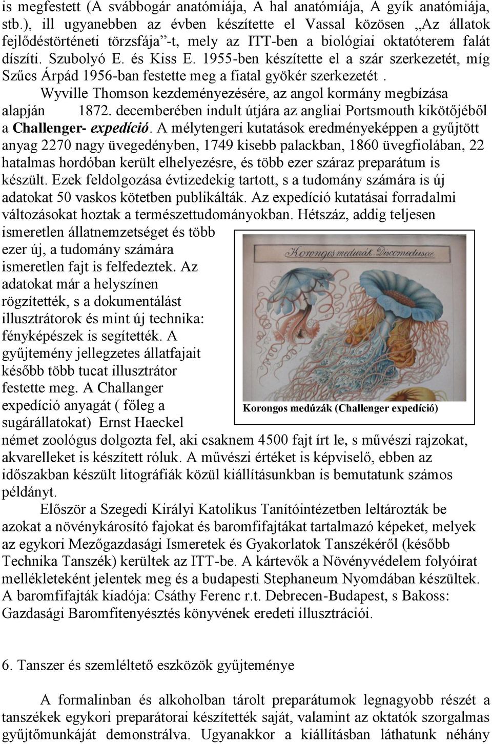 1955-ben készítette el a szár szerkezetét, míg Szűcs Árpád 1956-ban festette meg a fiatal gyökér szerkezetét. Wyville Thomson kezdeményezésére, az angol kormány megbízása alapján 1872.