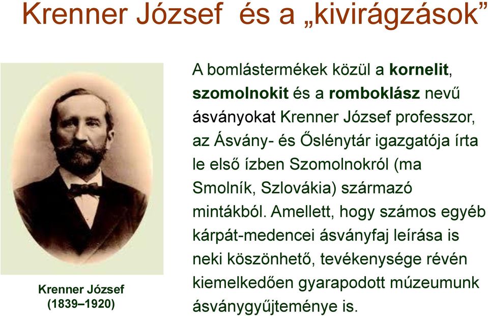 ízben Szomolnokról (ma Smolník, Szlovákia) származó mintákból.