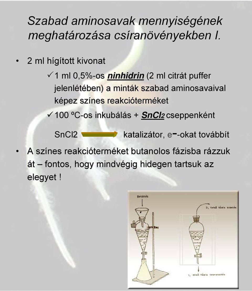 aminosavaival képez színes reakcióterm terméket 100 ºC-os inkubálás + SnCl2 cseppenként nt SnCl2