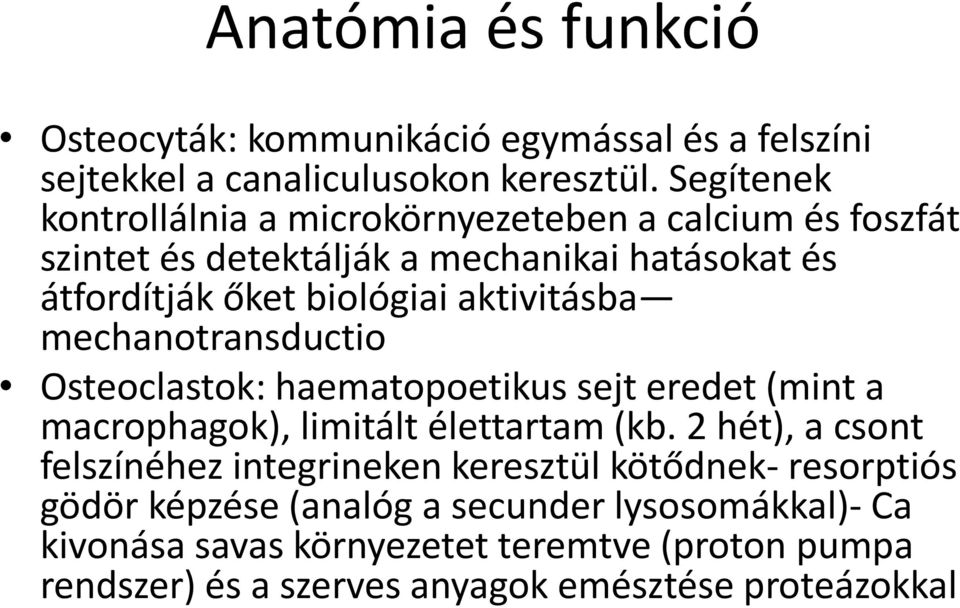 aktivitásba mechanotransductio Osteoclastok: haematopoetikus sejt eredet (mint a macrophagok), limitált élettartam (kb.