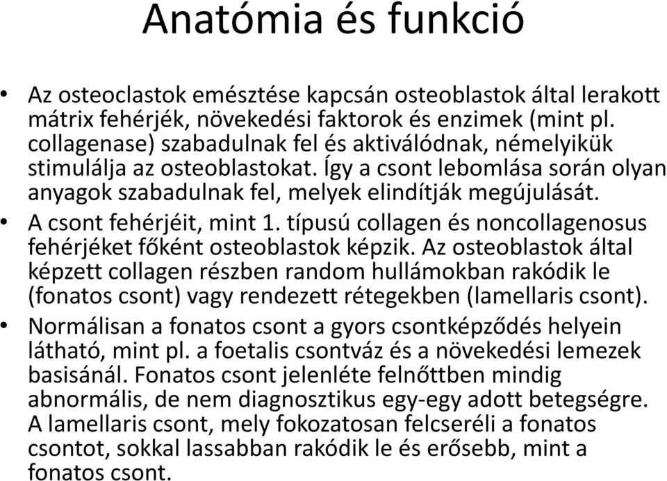 A csont fehérjéit, mint 1. típusú collagen és noncollagenosus fehérjéket főként osteoblastok képzik.