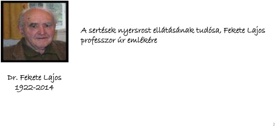 Lajos professzor úr