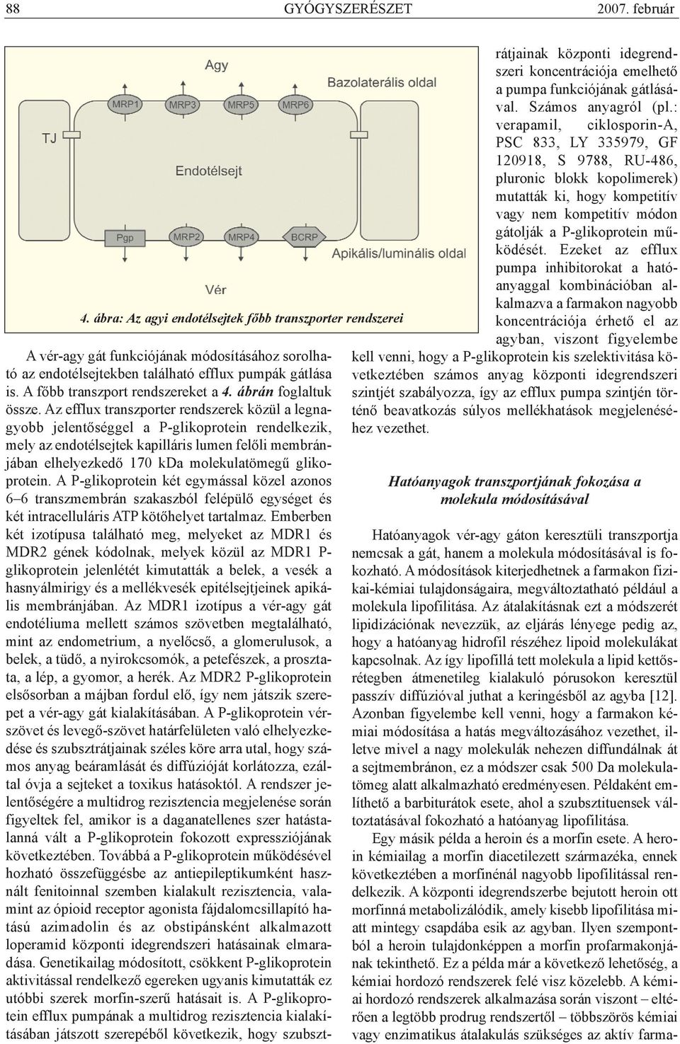 Az efflux transzporter rendszerek közül a legnagyobb jelentõséggel a P-glikoprotein rendelkezik, mely az endotélsejtek kapilláris lumen felõli membránjában elhelyezkedõ 170 kda molekulatömegû
