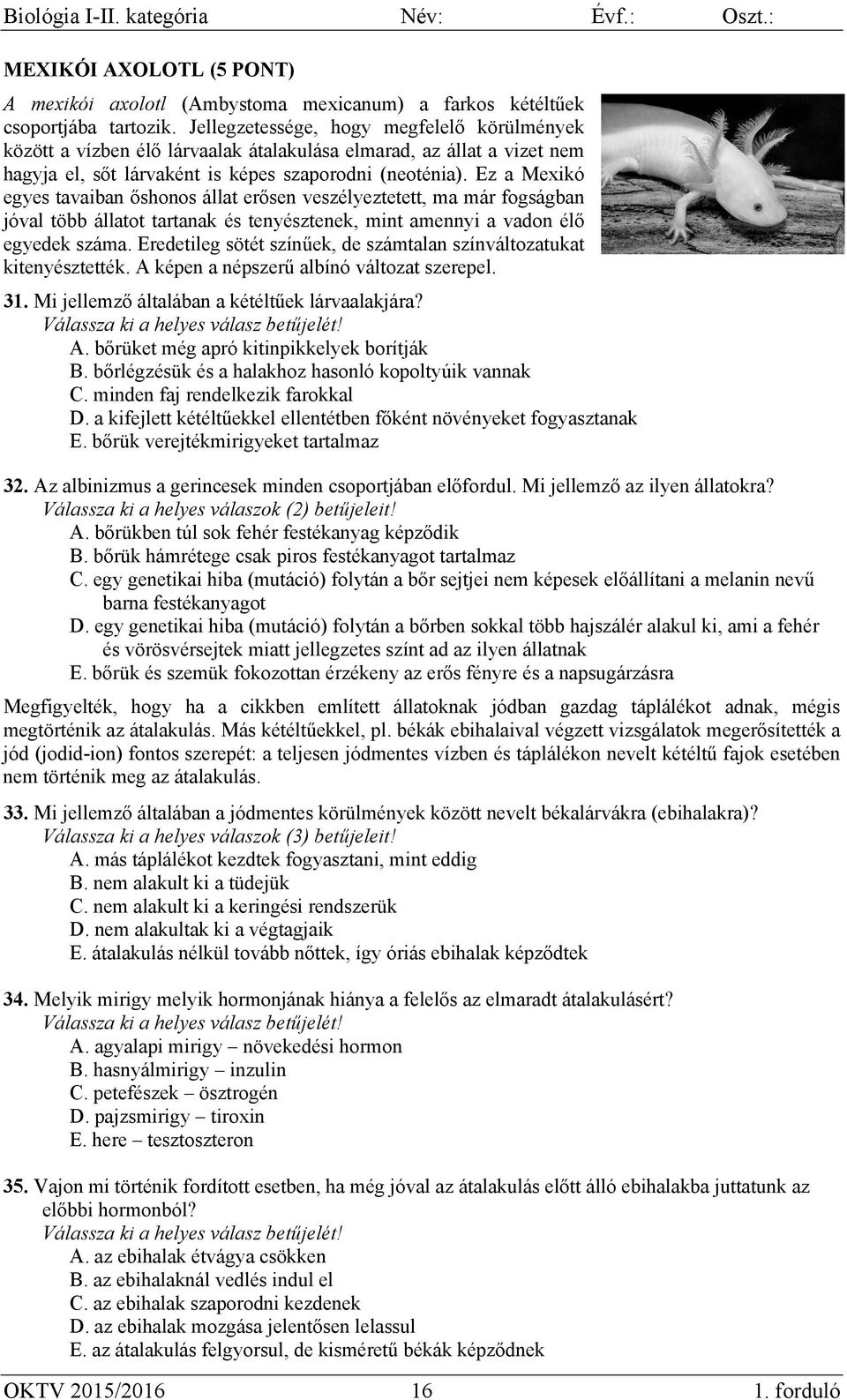 Ez a Mexikó egyes tavaiban őshonos állat erősen veszélyeztetett, ma már fogságban jóval több állatot tartanak és tenyésztenek, mint amennyi a vadon élő egyedek száma.