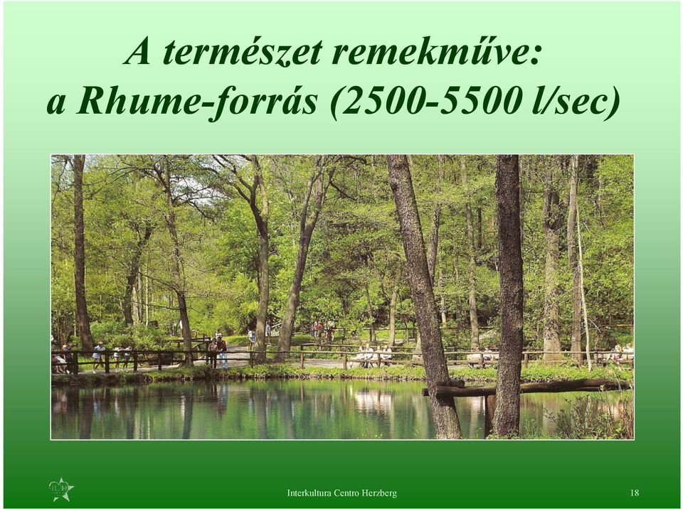 RhumeRhume-forrás (2500