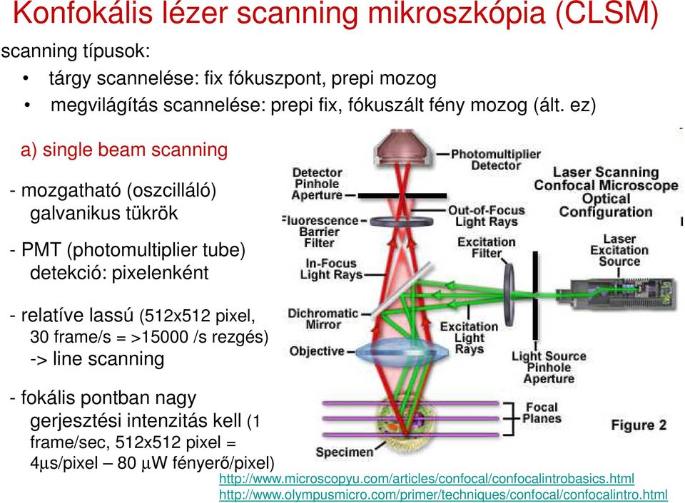 ez) a) single beam scanning - mozgatható (oszcilláló) galvanikus tükrök - PMT (photomultiplier tube) detekció: pixelenként - relatíve lassú (512x512 pixel,