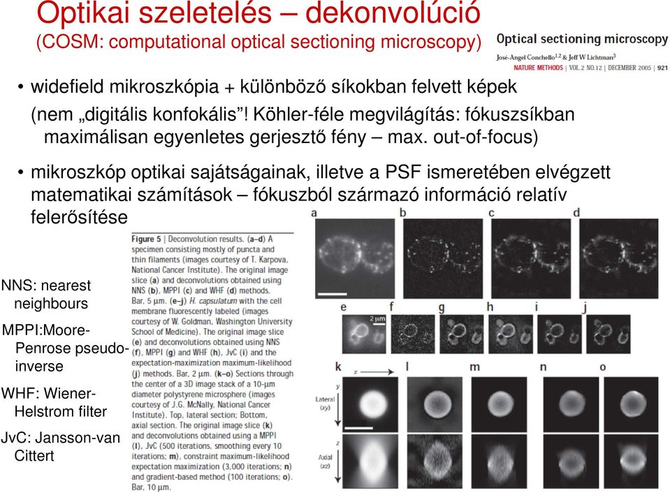 out-of-focus) mikroszkóp optikai sajátságainak, illetve a PSF ismeretében elvégzett matematikai számítások fókuszból származó