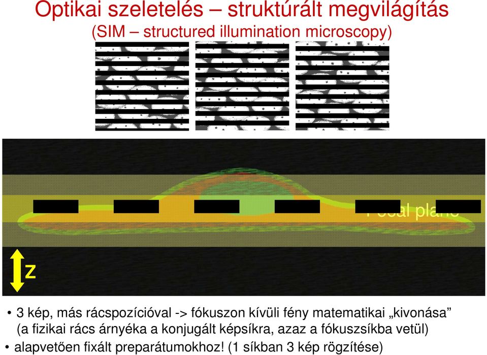 fény matematikai kivonása (a fizikai rács árnyéka a konjugált képsíkra, azaz