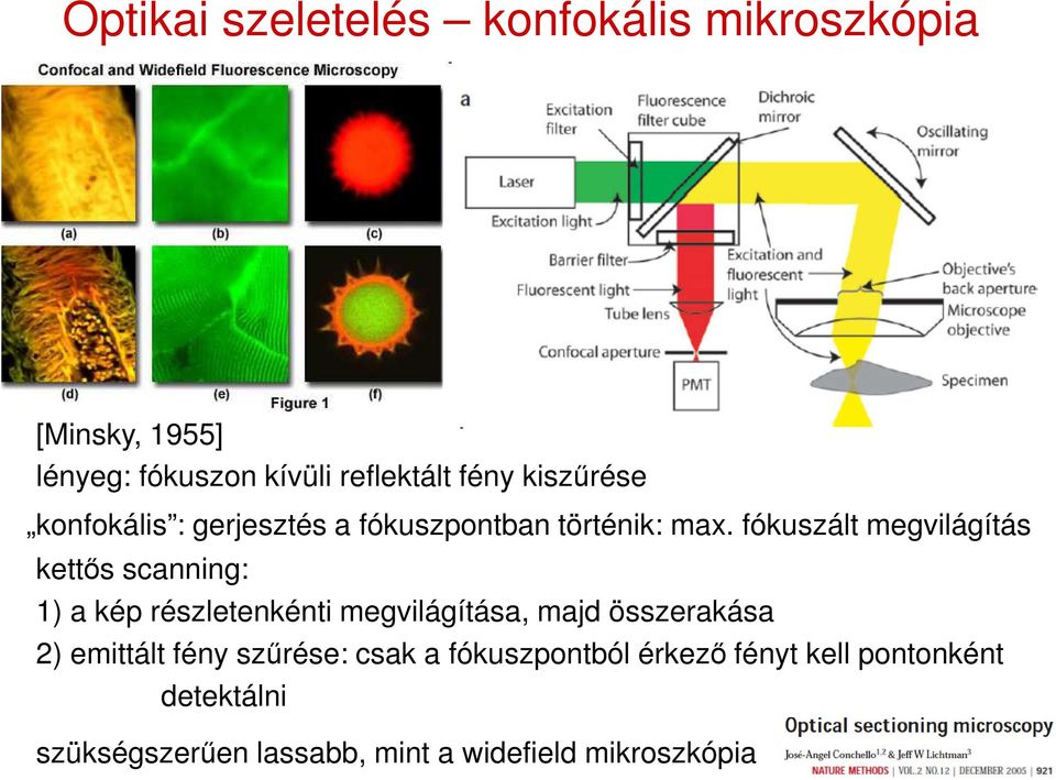 fókuszált megvilágítás kettős scanning: 1) a kép részletenkénti megvilágítása, majd összerakása 2)