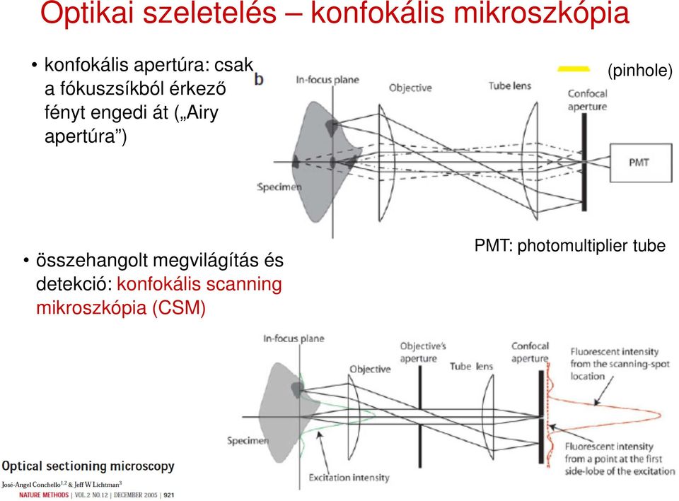 apertúra ) (pinhole) összehangolt megvilágítás és detekció: