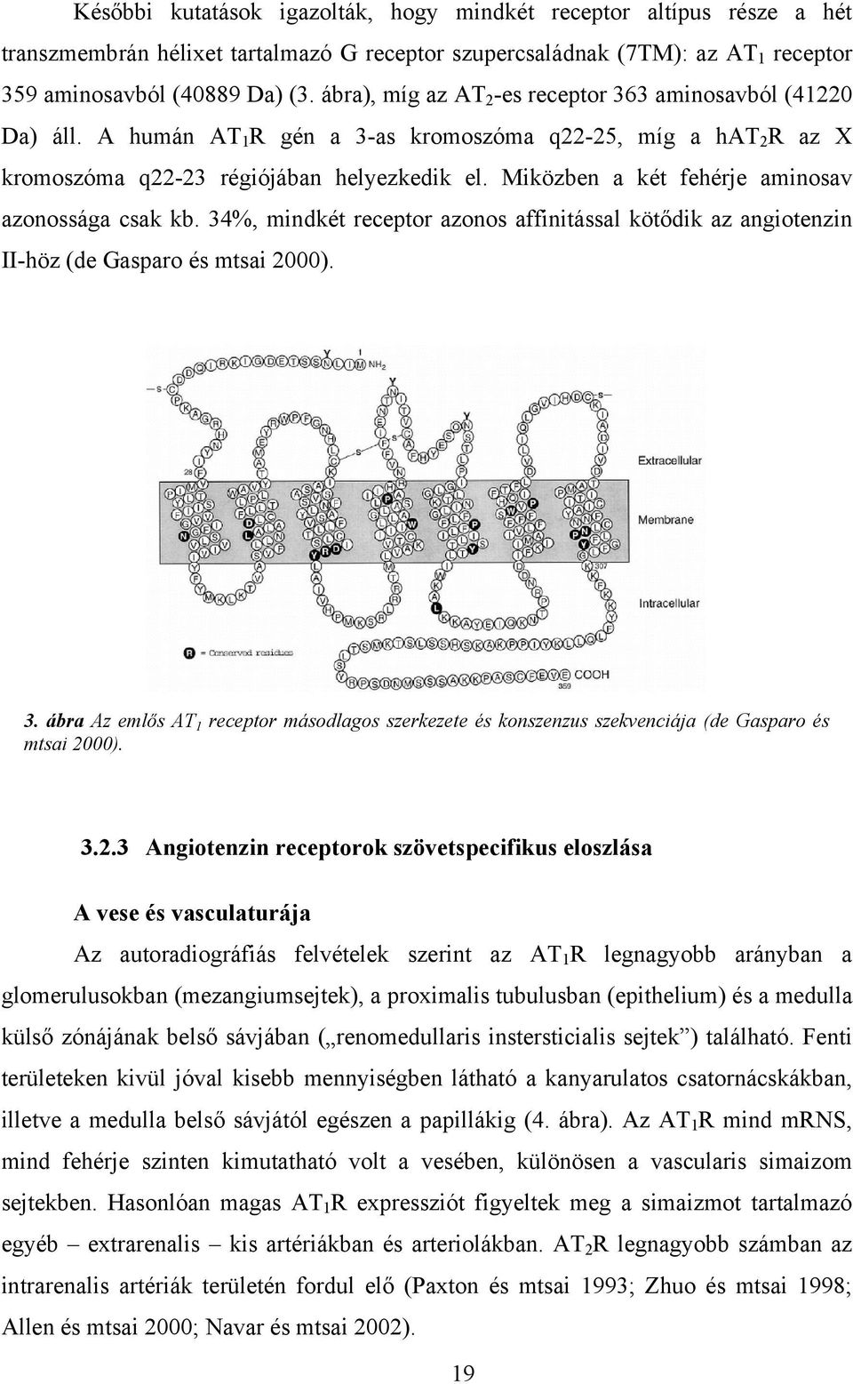 Miközben a két fehérje aminosav azonossága csak kb. 34%, mindkét receptor azonos affinitással kötődik az angiotenzin II-höz (de Gasparo és mtsai 2000). 3. ábra Az emlős AT 1 receptor másodlagos szerkezete és konszenzus szekvenciája (de Gasparo és mtsai 2000).