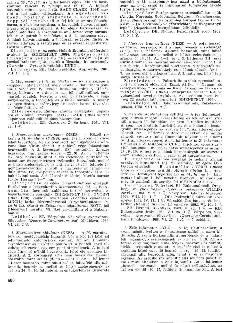 A tor élénk barnássárga, az előtör hátoldala, a középhát és az áltorszelvény barnásfekete. A potroh barnásfekete, a 2 3. haslemez sárga. A lábak halványsárgák, a 3. lábszár és lábfej füstös.