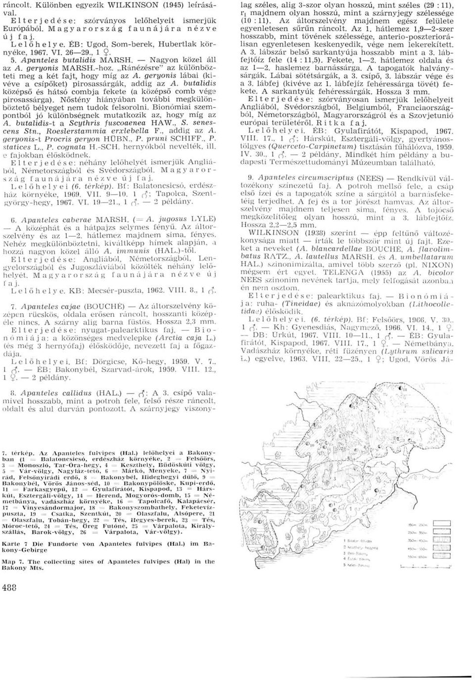 geryonis lábai (kivéve a csípőket) pirosassárgák, addig az A. butalidis középső és hátsó combja fekete (a középső comb vége pirosassárga).