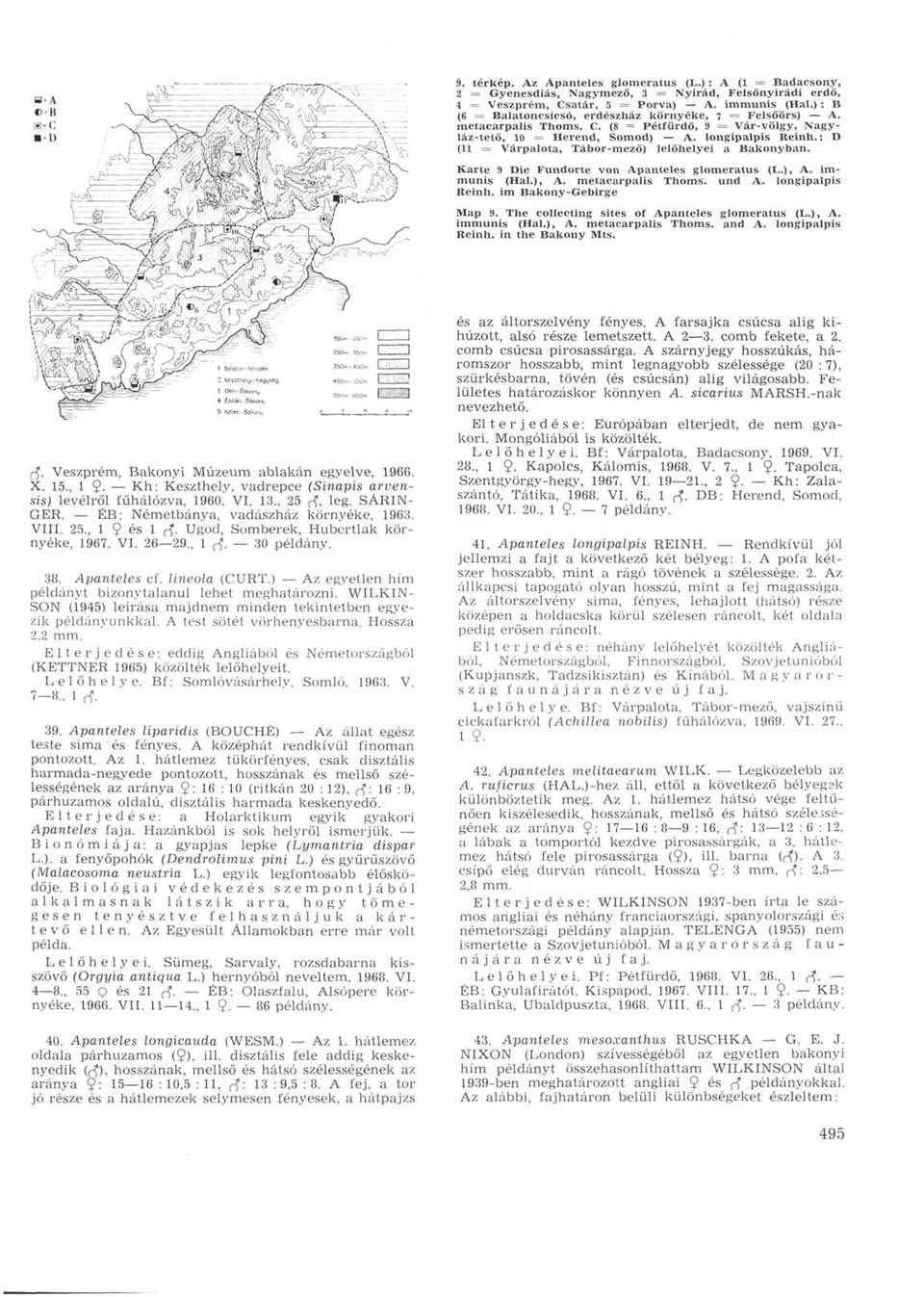 : D (11 = Várpalota, Tábor-mező) lelőhelyei a Bakonyban. Karte 9 Die Fundorte von Apanteles glomeratus (L.), A. immúnis (Hal.), A. metacarpalis Thoms. und A. longipalpis Reinh.