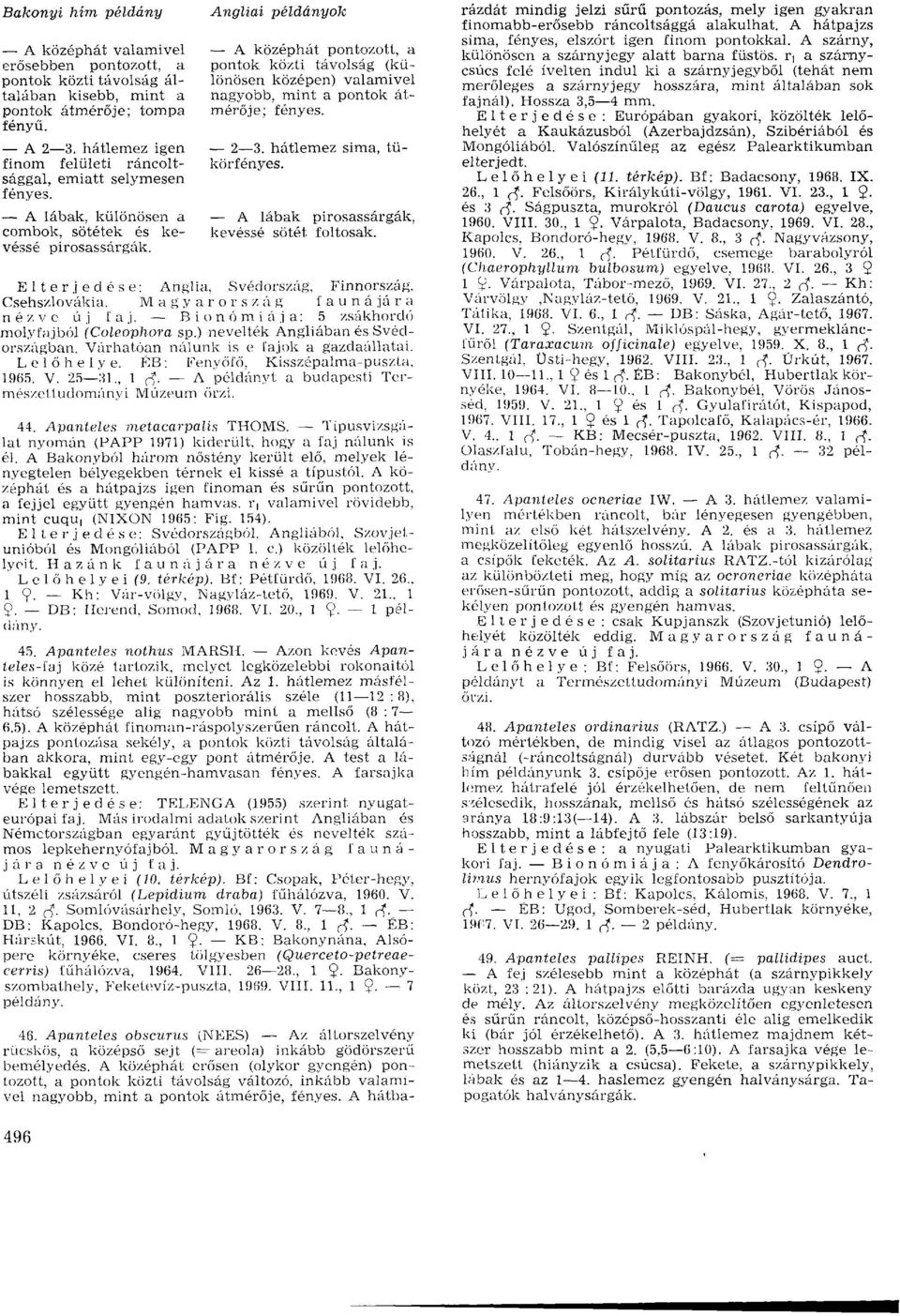 Angliai példányok A középhát pontozott, a pontok közti távolság (különösen középen) valamivel nagyobb, mint a pontok átmérője; fényes. 2 3. hátlemez sima, tükörfényes.