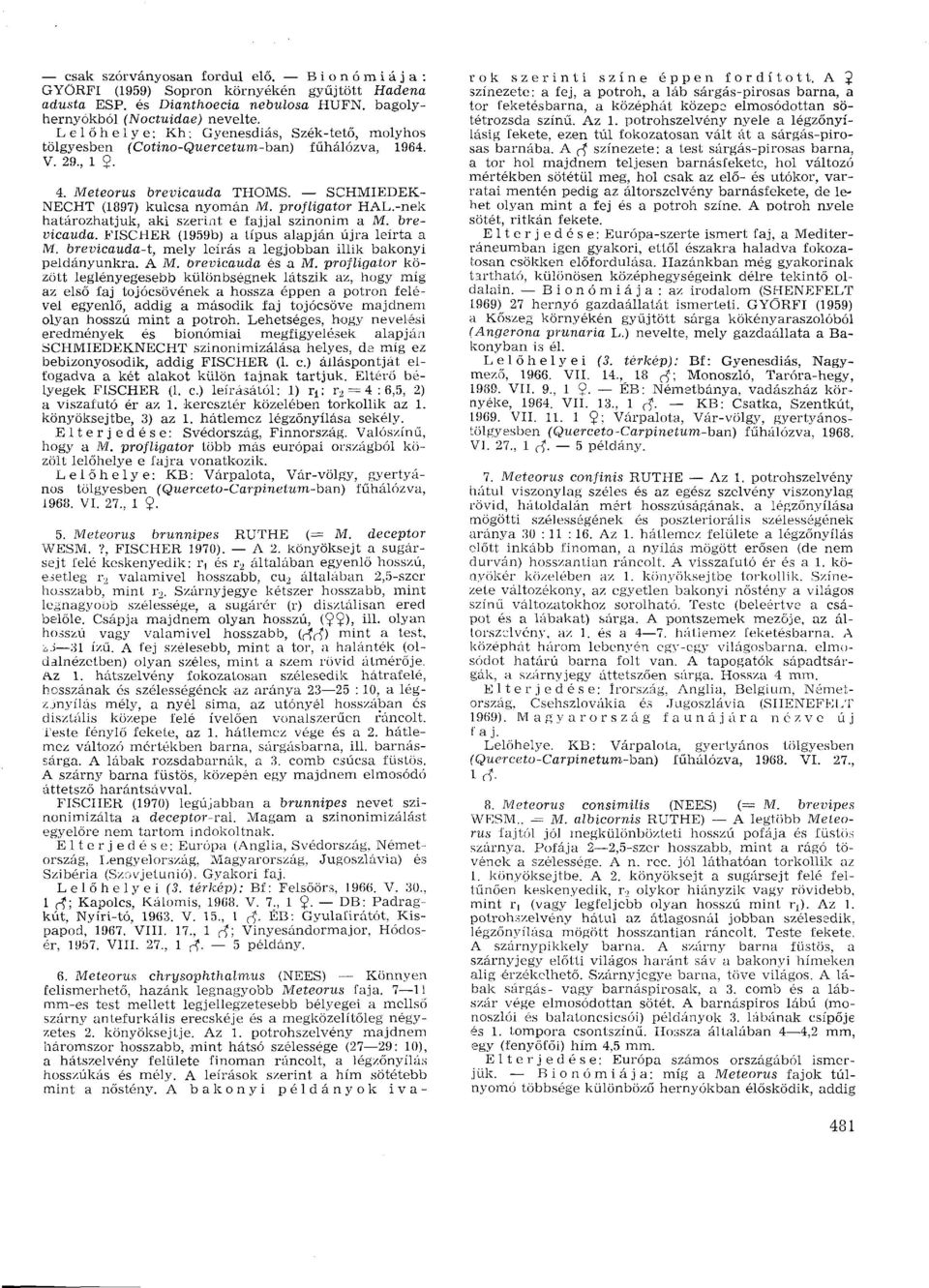 -nek határozhatjuk, aki szerint e fajjal szinonim a M. brevicauda. FISCHER (1959b) a típus alapján újra leírta a M. brevicauda-t, mely leírás a legjobban illik bakonyi példányunkra. A M.