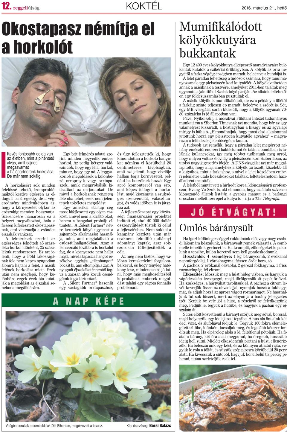 A horkolásért sok minden felelõssé tehetõ, izompblémáktól kezdve egészen az eldugult orrüregekig, de a végeredmény mindenképpen az, hogy a környezetet olykor az erõszakig menõen bosszantja.