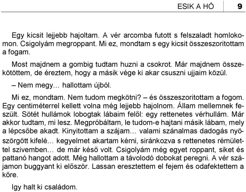 és összeszoritottam a fogom. Egy centiméterrel kellett volna még lejjebb hajolnom. Állam mellemnek feszült. Sötét hullámok lobogtak lábaim felől: egy rettenetes vérhullám. Már akkor tudtam, mi lesz.