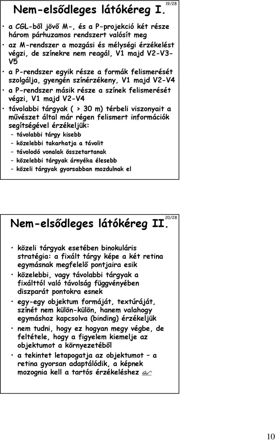 egyik része a formák felismerését szolgálja, gyengén színérzékeny, V1 majd V2-V4 a P-rendszer másik része a színek felismerését végzi, V1 majd V2-V4 távolabbi tárgyak ( > 30 m) térbeli viszonyait a