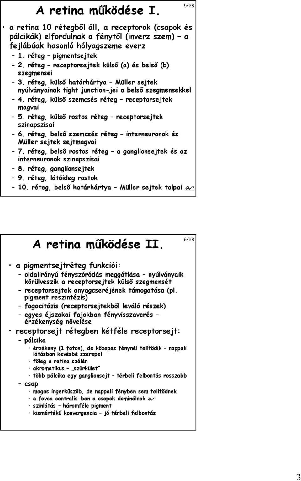 réteg, külsı szemcsés réteg receptorsejtek magvai 5. réteg, külsı rostos réteg receptorsejtek szinapszisai 6. réteg, belsı szemcsés réteg interneuronok és Müller sejtek sejtmagvai 7.