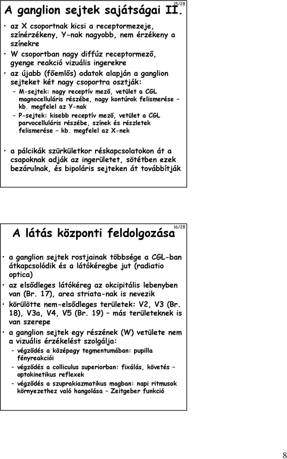 a ganglion sejteket két nagy csoportra osztják: M-sejtek: nagy receptív mezı, vetület a CGL magnocelluláris részébe, nagy kontúrok felismerése kb.