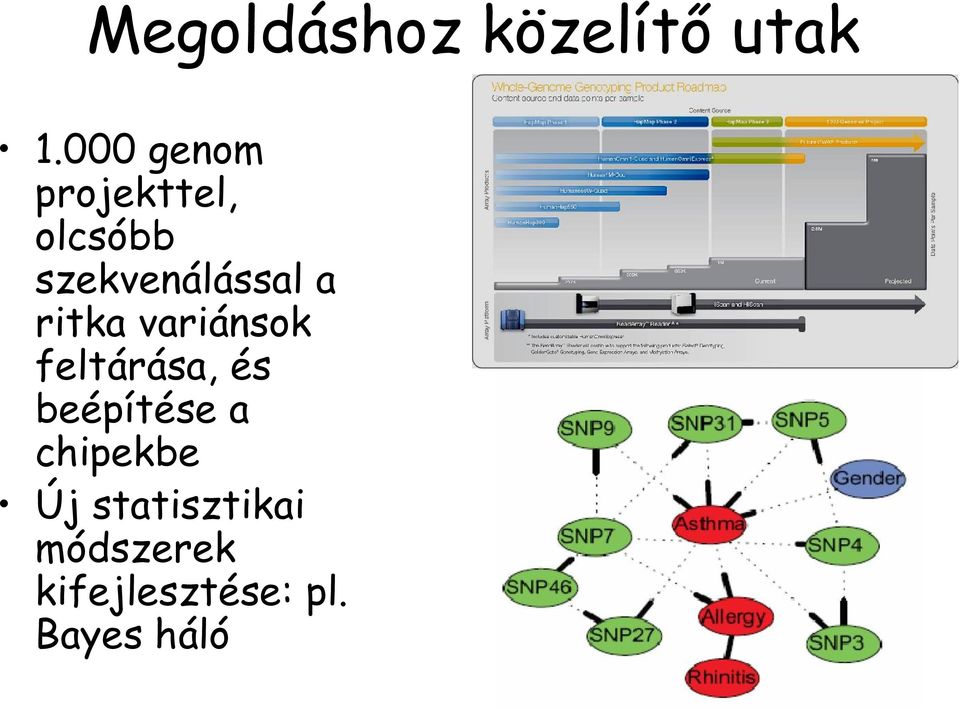 a ritka variánsok feltárása, és beépítése a