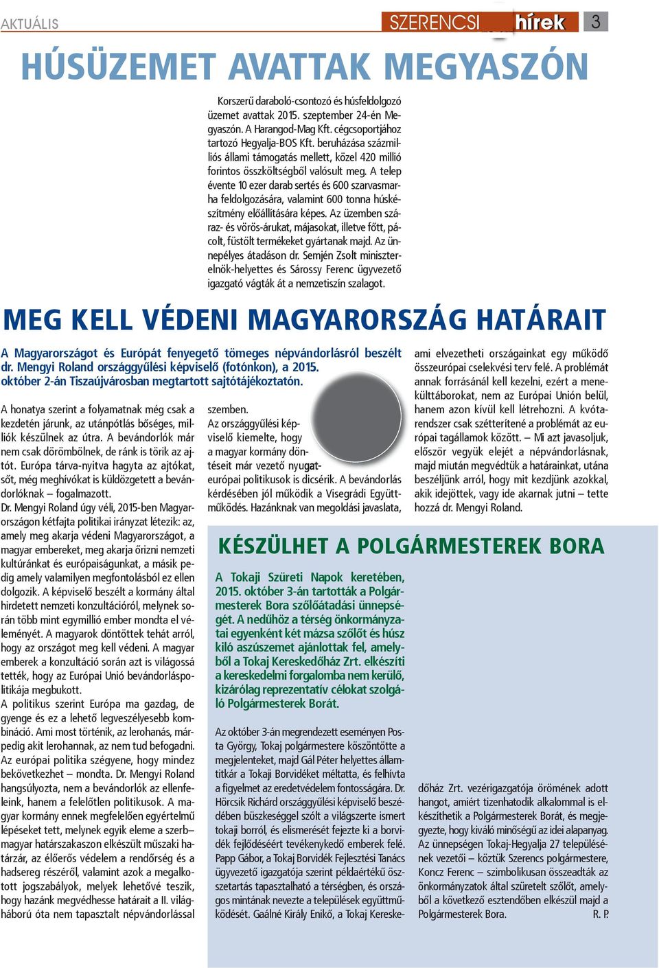 Mengyi Roland úgy véli, 2015-ben Magyarországon kétfajta politikai irányzat létezik: az, amely meg akarja védeni Magyarországot, a magyar embereket, meg akarja őrizni nemzeti kultúránkat és