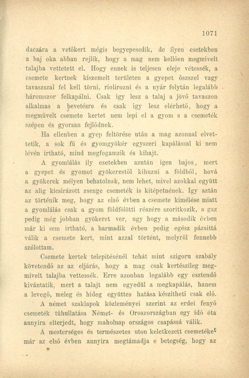 Csak igy lesz a talaj a jövő tavaszon alkalmas a bevetésre és csak igy lesz elérhető, hogy a megművelt csemete kertet nem lepi el a gyom s a csemeték szépen és gyorsan fejlődnek.