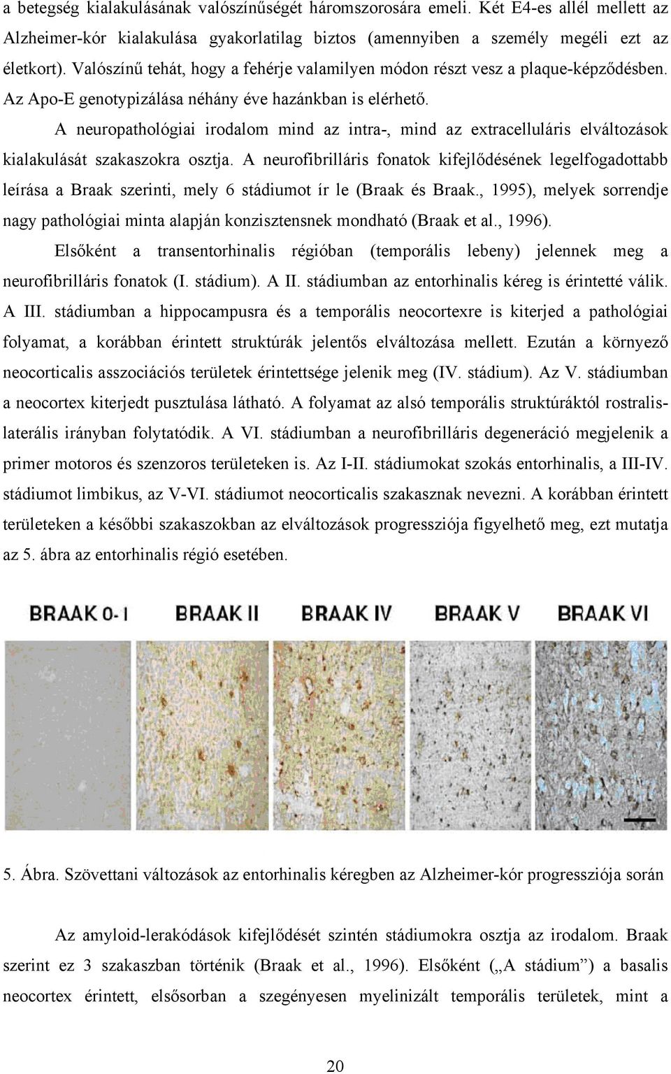 A neuropathológiai irodalom mind az intra-, mind az extracelluláris elváltozások kialakulását szakaszokra osztja.