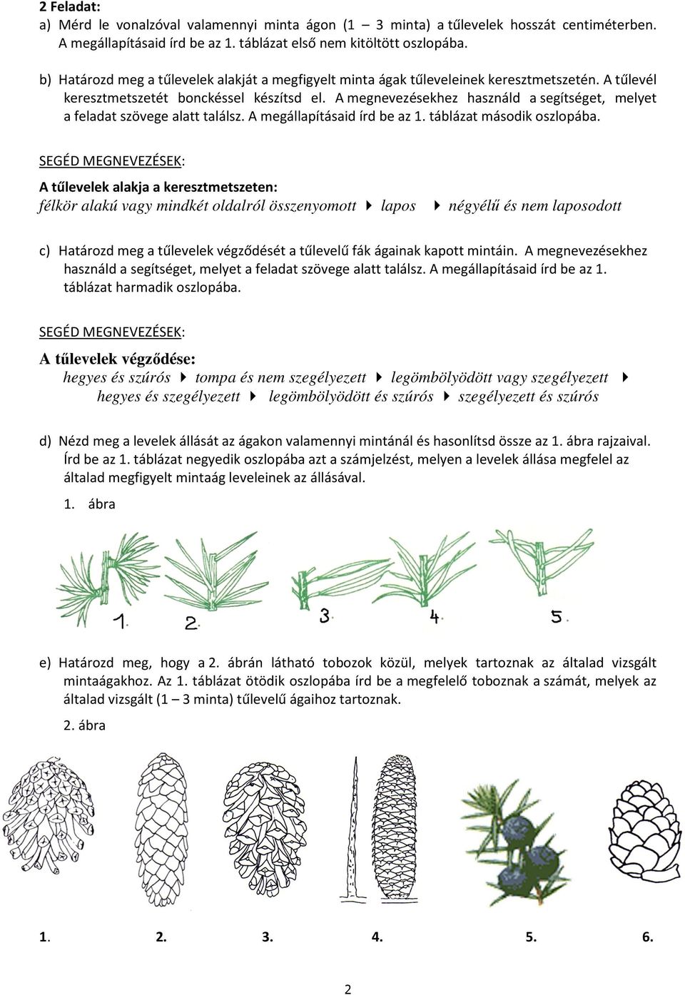 A megnevezésekhez használd a segítséget, melyet a feladat szövege alatt találsz. A megállapításaid írd be az 1. táblázat második oszlopába.