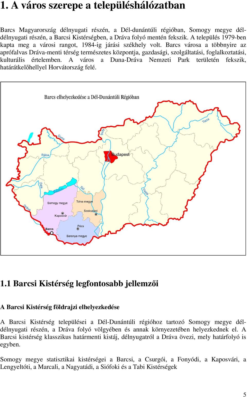 Barcs városa a többnyire az aprófalvas Dráva-menti térség természetes központja, gazdasági, szolgáltatási, foglalkoztatási, kulturális értelemben.